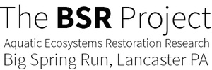 The BSR Restoration